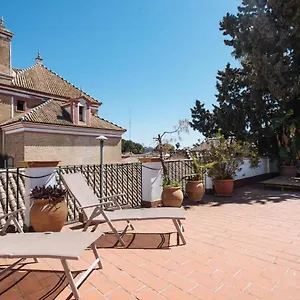 Penthouse Private Terrace, Near Cathedral, And To Real Maestranza Apartment